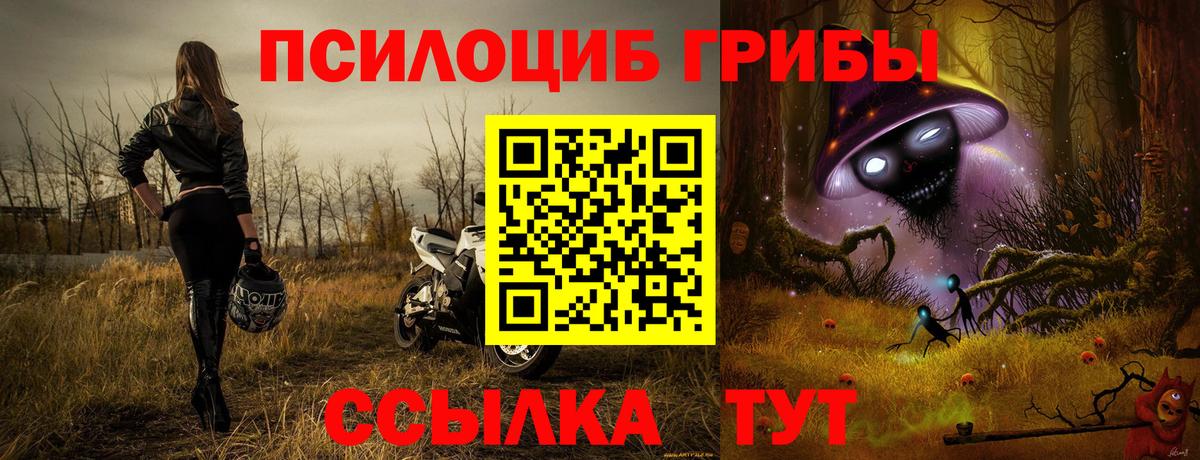 Галлюциногенные грибы GOLDEN TEACHER  Вход с VPN  Галлюциногенные грибы GOLDEN TEACHER  Ипатово 